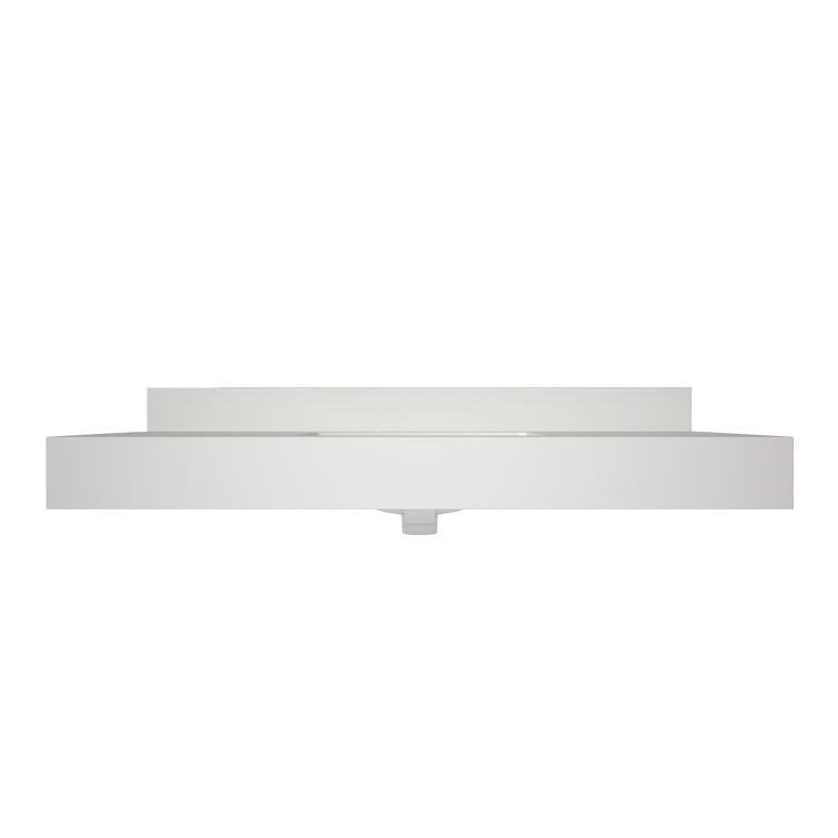 Medunjess 49'' Bathroom Vanity Top with Backsplash Wall Mounted Bathroom Sink