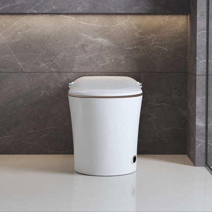 Medunjess Cleenoo Smart Toilet 1.34 GPF With Heated Seat & Auto Flush Nano Aerated Frequency Heating 3D Wash Modes Advanced STCL5G-W