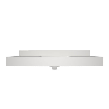 Medunjess 49'' Bathroom Vanity Top with Backsplash Wall Mounted Bathroom Sink