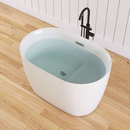 Medunjess 43'' Swan Freestanding acrylic bathtub with bench