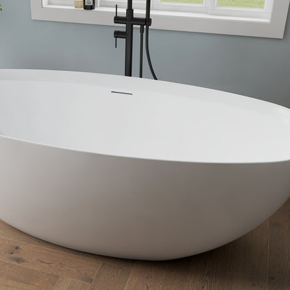 Medunjess 65" Minimalist Acrylic Freestanding Bathtub Soaking Tub