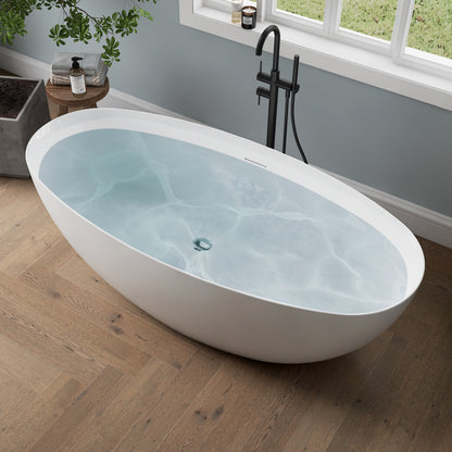 Medunjess 65" Minimalist Acrylic Freestanding Bathtub Soaking Tub
